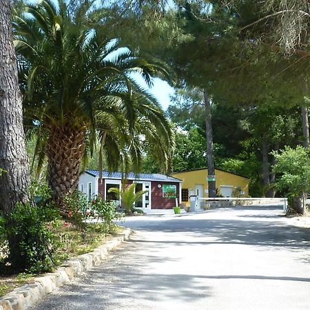 Camping Des Alberes Laroque-des-Albères Exteriör bild