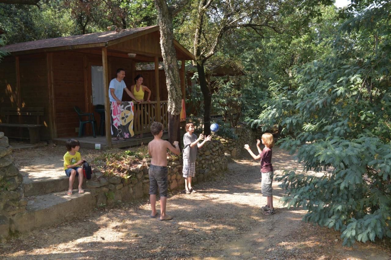 Camping Des Alberes Laroque-des-Albères Exteriör bild