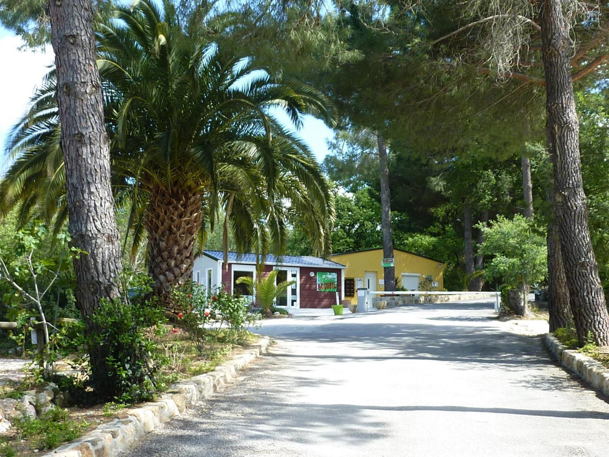 Camping Des Alberes Laroque-des-Albères Exteriör bild