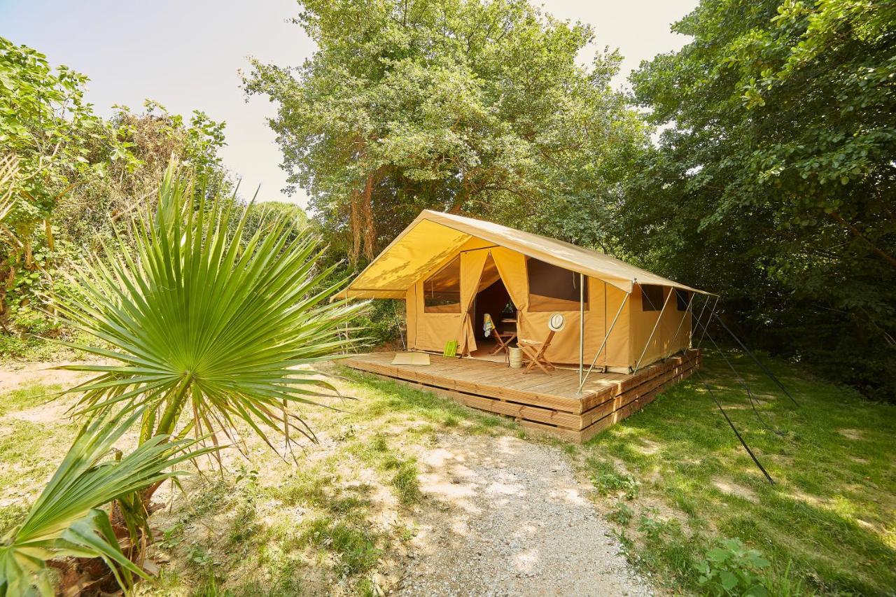 Camping Des Alberes Laroque-des-Albères Exteriör bild